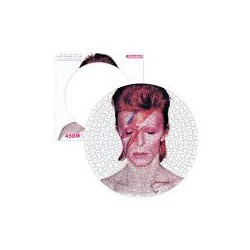 Puzzle vinilo david bowie 450