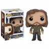 Funko sirius black 16