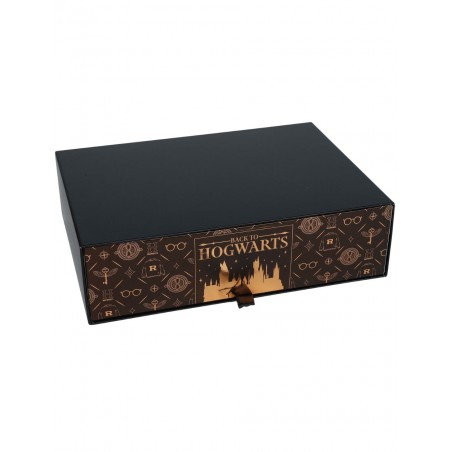 Harry Potter caja fan aniversario