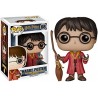 Funko Harry Potter en Quidditch Outfit