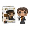 Funko Harry Potter Hedwig 31