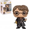 Funko Harry Potter and The Chamber of Secrets 147