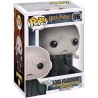 Funko Lord Voldemort 06