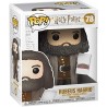 Funko Rubeus Hagrid w/Cake 78